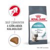 Royal Canin Hairball Care Száraz Macskatáp - 10 kg
