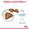 Royal Canin Hairball Care Száraz Macskatáp - 10 kg