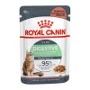Royal Canin Digestive Care Alutasakos Macskaeledel - 85 g