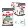 Royal Canin Digestive Care Alutasakos Macskaeledel - 12x85 g
