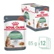 Royal Canin Digestive Care Alutasakos Macskaeledel - 12x85 g