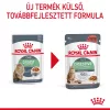 Royal Canin Digestive Care Alutasakos Macskaeledel - 12x85 g