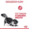 Royal Canin Digestive Care Alutasakos Macskaeledel - 12x85 g