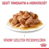 Royal Canin Hair & Skin Care Alutasakos Macskaeledel - 85 g
