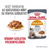 Royal Canin Hair & Skin Care Alutasakos Macskaeledel - 12x85 g