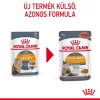 Royal Canin Hair & Skin Care Alutasakos Macskaeledel - 12x85 g