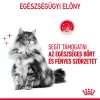 Royal Canin Hair & Skin Care Alutasakos Macskaeledel - 12x85 g