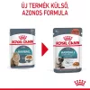 Royal Canin Hairball Care Alutasakos Macskaeledel - 85 g