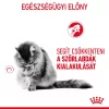 Royal Canin Hairball Care Alutasakos Macskaeledel - 85 g