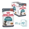 Royal Canin Hairball Care Alutasakos Macskaeledel - 12x85 g