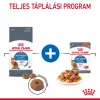 Royal Canin Light Weight Care Alutasakos Macskaeledel - 12x85 g