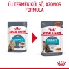 Royal Canin Urinary Care Alutasakos Macskaeledel - 85 g