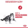 Royal Canin Urinary Care Alutasakos Macskaeledel - 85 g