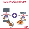 Royal Canin Appetite Control Care Jelly Alutasakos Macskaeledel - 85 g