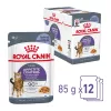 Royal Canin Appetite Control Care Jelly Alutasakos Macskaeledel - 12x85 g