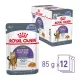 Royal Canin Appetite Control Care Jelly Alutasakos Macskaeledel - 12x85 g