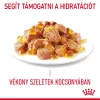 Royal Canin Appetite Control Care Jelly Alutasakos Macskaeledel - 12x85 g