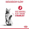 Royal Canin Appetite Control Care Jelly Alutasakos Macskaeledel - 12x85 g