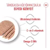 Royal Canin Mother & Babycat Száraz Macskatáp - 2 kg