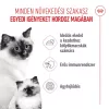 Royal Canin Mother & Babycat Száraz Macskatáp - 2 kg