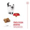 Royal Canin Kitten Száraz Macskatáp - 2 kg