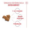 Royal Canin Kitten Sterilised Száraz Macskatáp - 400 g