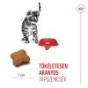 Royal Canin Kitten Sterilised Száraz Macskatáp - 400 g