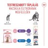Royal Canin Kitten Sterilised Száraz Macskatáp - 2 kg