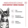 Royal Canin Kitten Sterilised Száraz Macskatáp - 2 kg