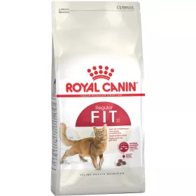 Royal Canin Fit 32 Száraz Macskatáp - 4 kg