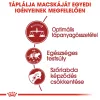 Royal Canin Fit 32 Száraz Macskatáp - 4 kg
