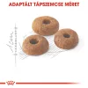 Royal Canin Fit 32 Száraz Macskatáp - 4 kg