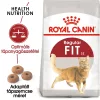 Royal Canin Fit 32 Száraz Macskatáp - 10 kg