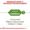 Royal Canin Outdoor 30 Száraz Macskatáp - 400 g