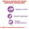 Royal Canin Sterilised 37 Száraz Macskatáp - 400 g