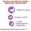Royal Canin Sterilised (7+) Száraz Macskatáp - 10 kg