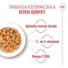 Royal Canin Kitten Jelly Alutasakos Macskaeledel - 85 g