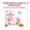 Royal Canin Kitten Jelly Alutasakos Macskaeledel - 85 g