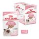 Royal Canin Kitten Loaf Alutasakos Macskaeledel - 12x85 g