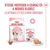 Royal Canin Kitten Loaf Alutasakos Macskaeledel - 12x85 g