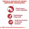 Royal Canin Instinctive Jelly Alutasakos Macskaeledel - 85 g