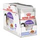 Royal Canin Sterilised Jelly Alutasakos Macskaeledel - 12x85 g