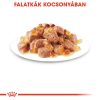 Royal Canin Sterilised Jelly Alutasakos Macskaeledel - 12x85 g