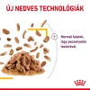 Royal Canin Sensory Taste Gravy Alutasakos Macskaeledel - 85 g