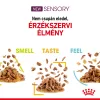 Royal Canin Sensory Taste Gravy Alutasakos Macskaeledel - 85 g