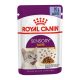 Royal Canin Sensory Taste Jelly Alutasakos Macskaeledel - 85 g