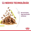 Royal Canin Sensory Smell Gravy Alutasakos Macskaeledel - 85 g