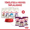Royal Canin Sensory Smell Gravy Alutasakos Macskaeledel - 85 g