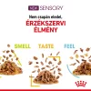 Royal Canin Sensory Smell Jelly Alutasakos Macskaeledel - 85 g