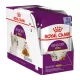 Royal Canin Sensory Smell Jelly Alutasakos Macskaeledel - 12x85 g
